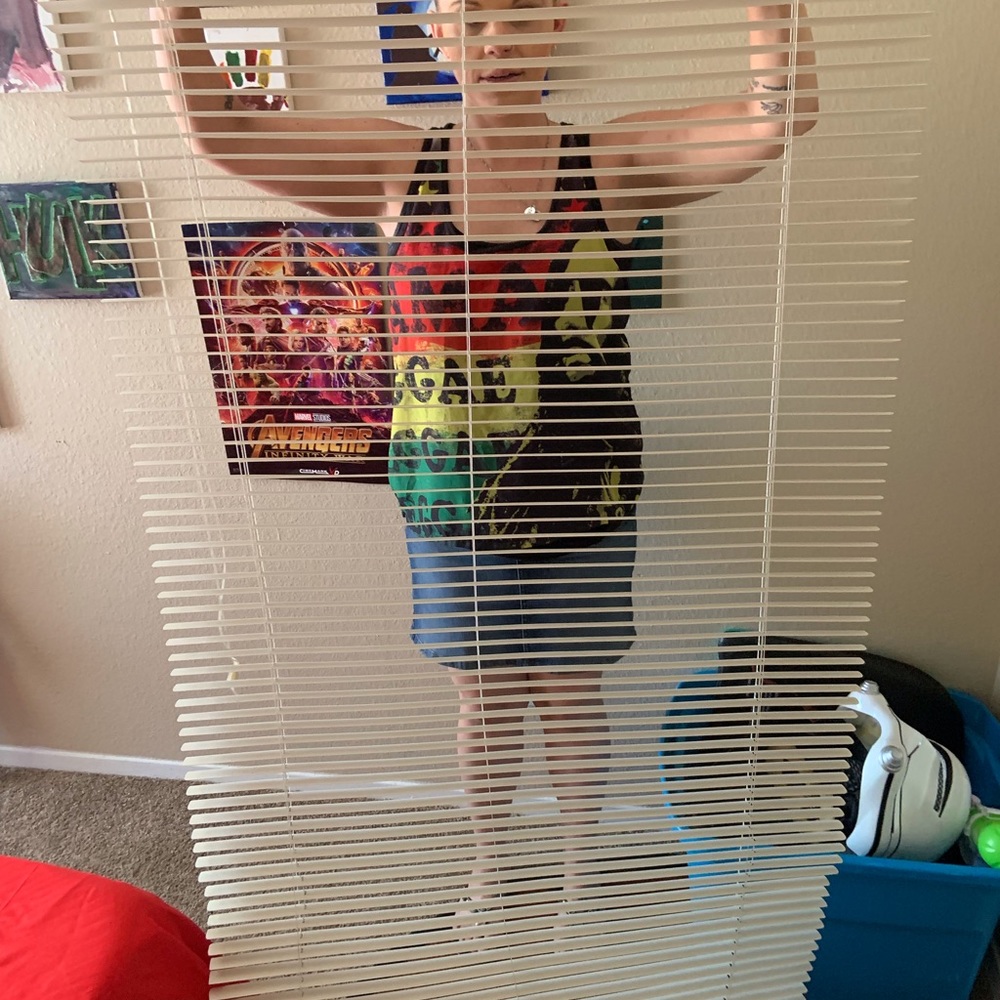 HOME DECORATORS COLLECTION CORDLESS  WOOD BLINDS